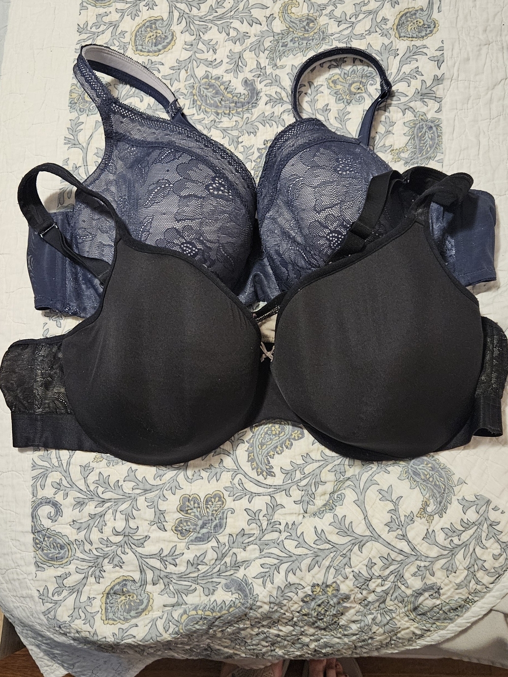 Cacique Two-Pack Bra Set — Black & Navy Lace